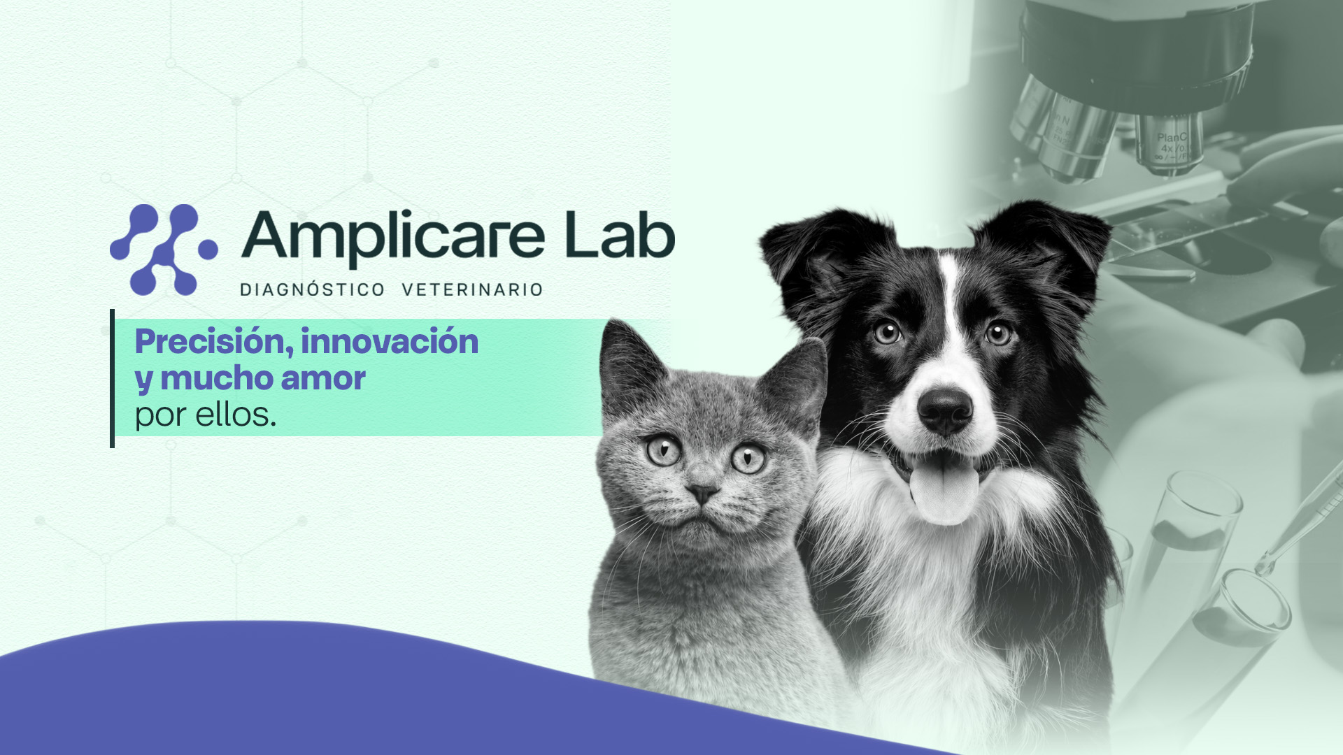Amplicare Lab