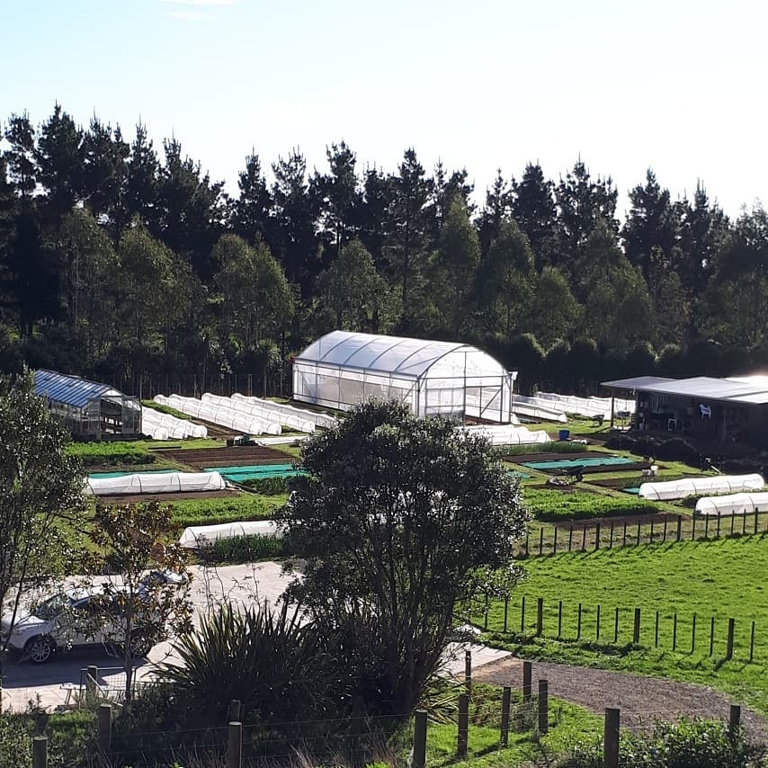 Redpath - Redpath Greenhouses and Tunnel systems, NZ made...