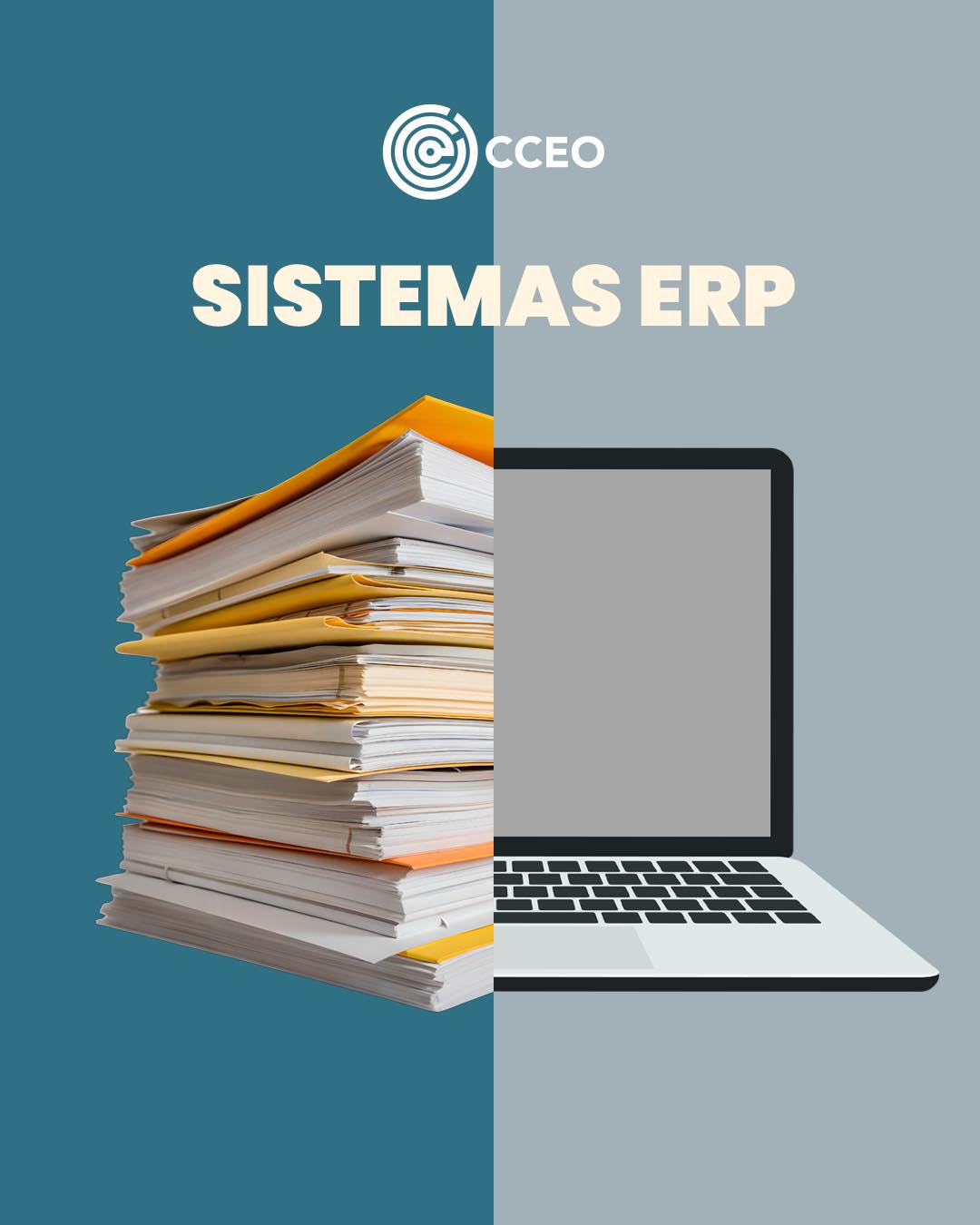 CCEO Software Development | Aguascalientes