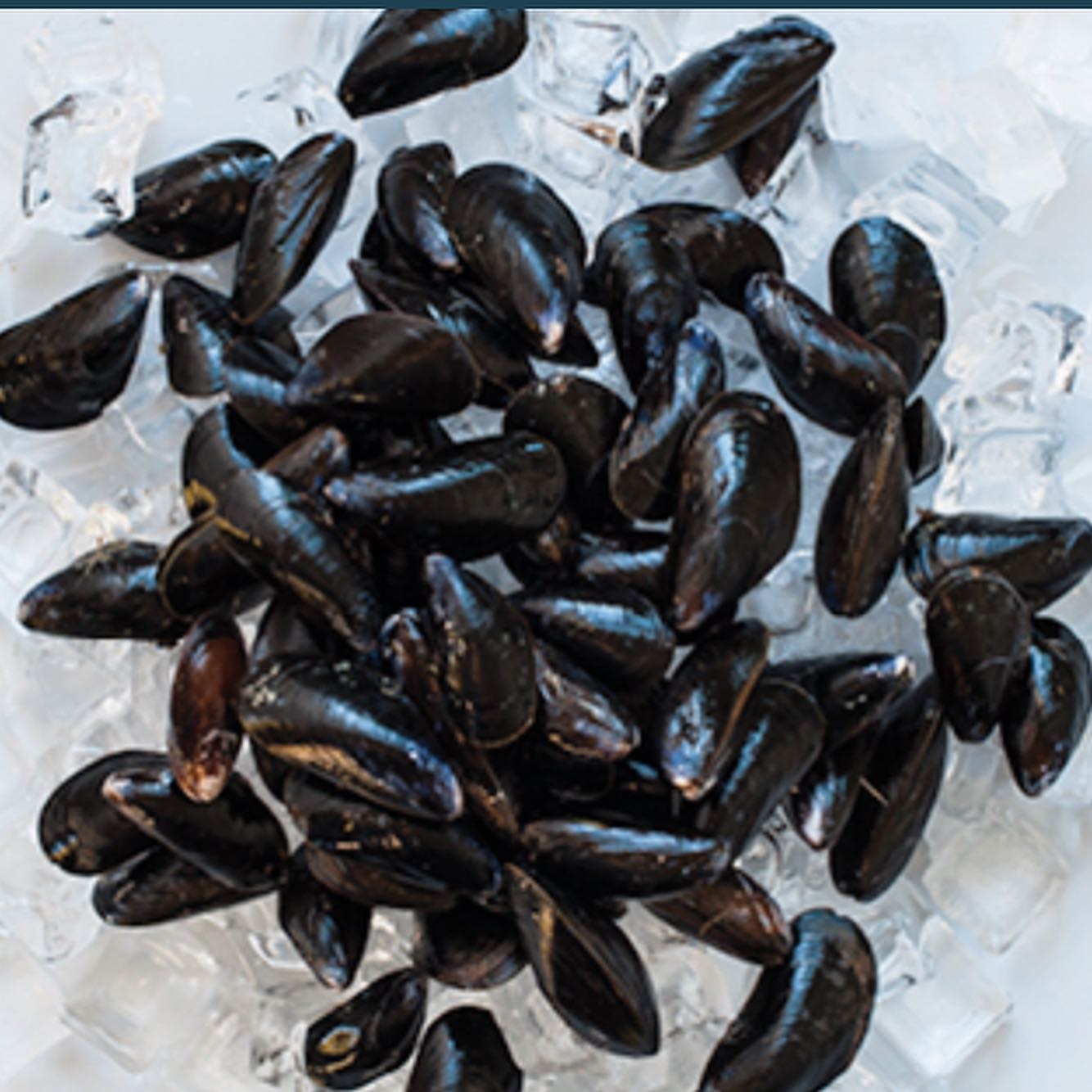 35% OF CANADA’S SHELLFISH EXPORTS... - Nova Scotia Seafood