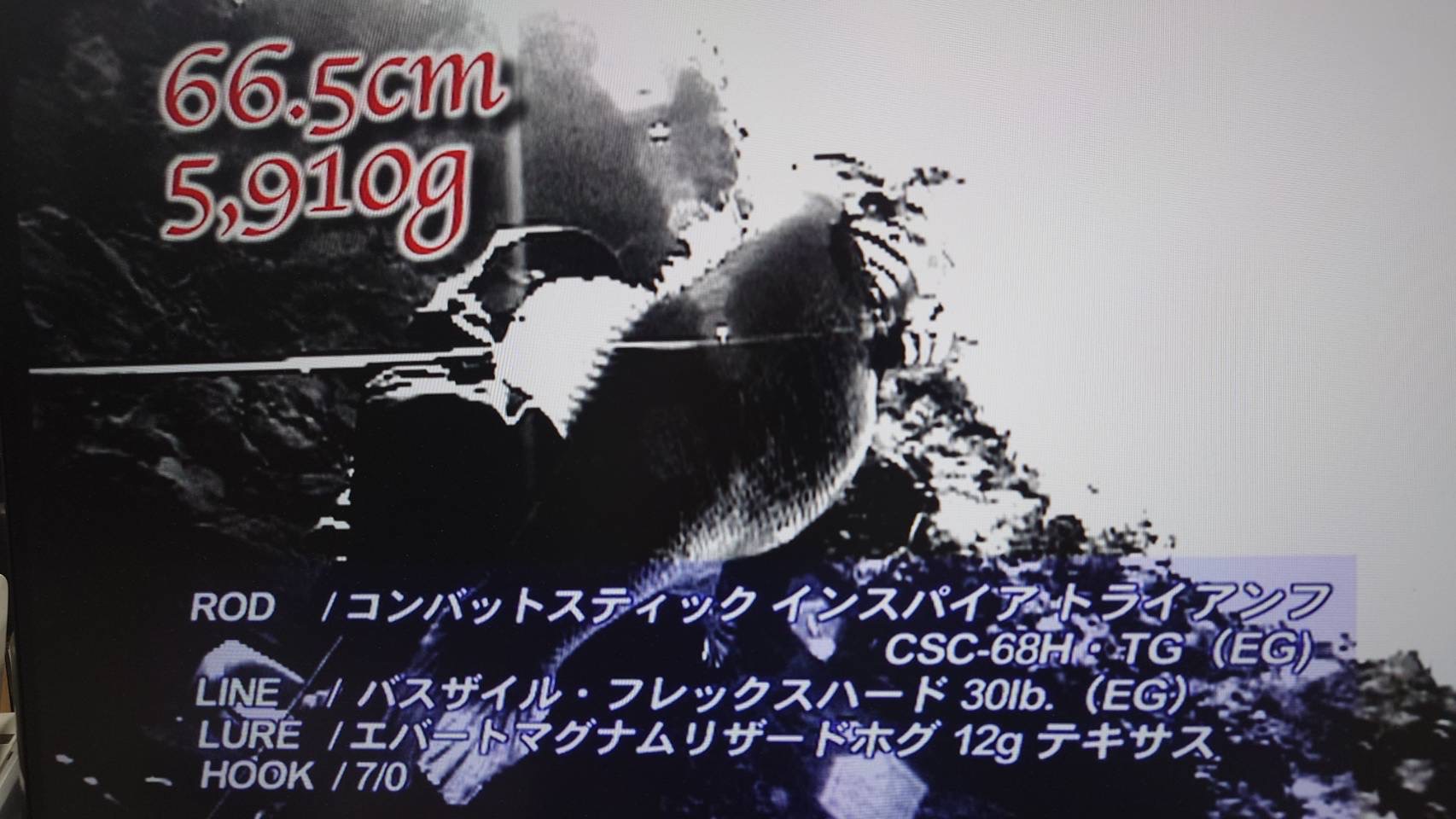 菊元俊文 / Toshifumi Kikumoto (@kikumototoshifumi) • Facebook