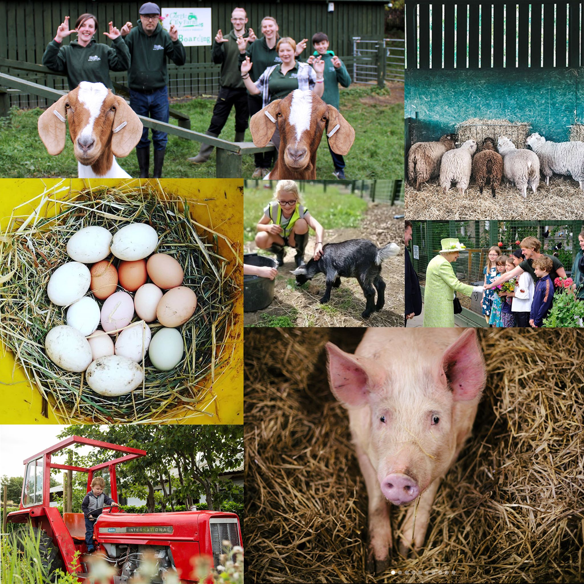 Edinburgh Community Farm