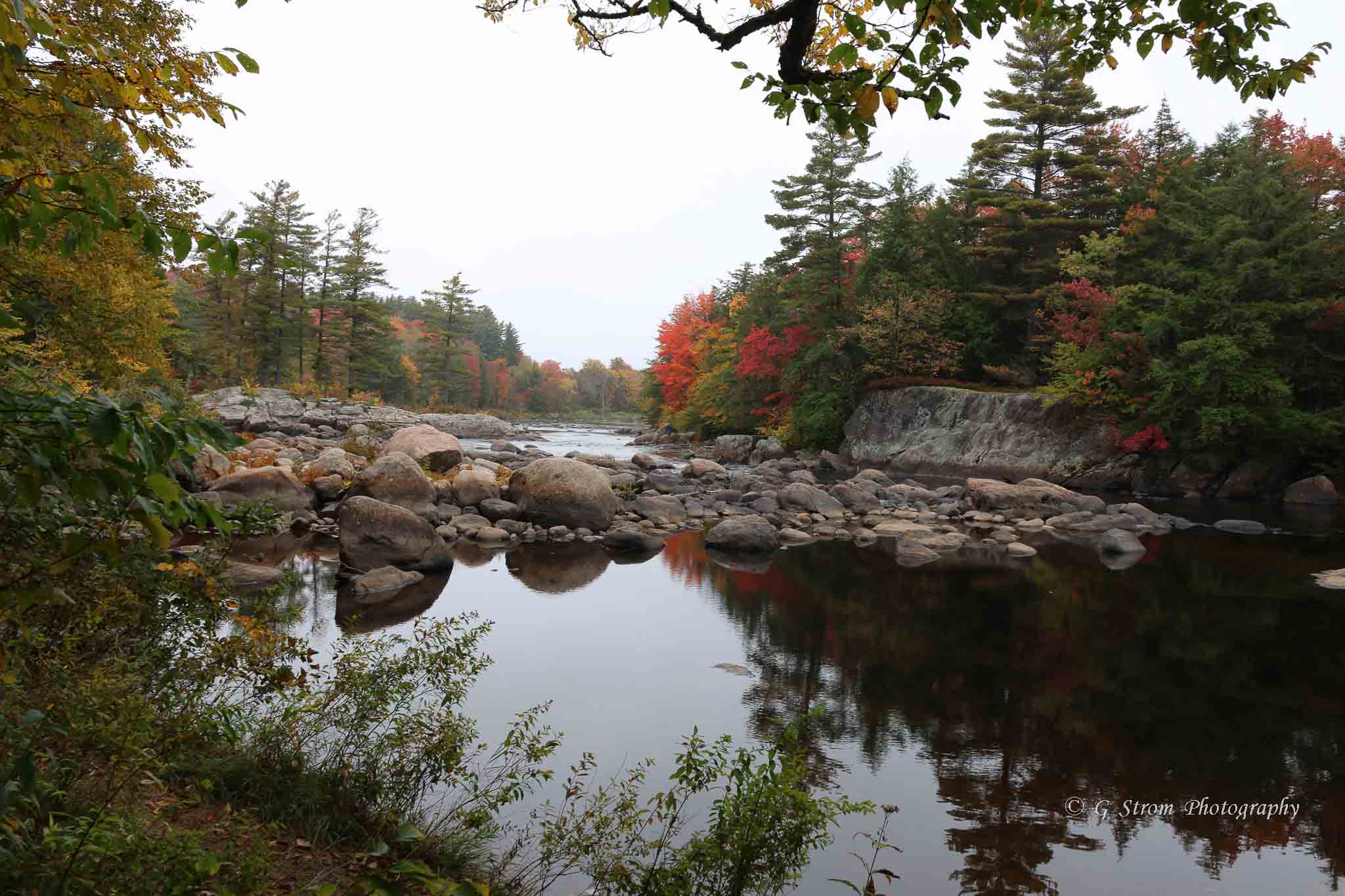 GETTING GOOD! Fall color is really starting to pop! Ginger Strom