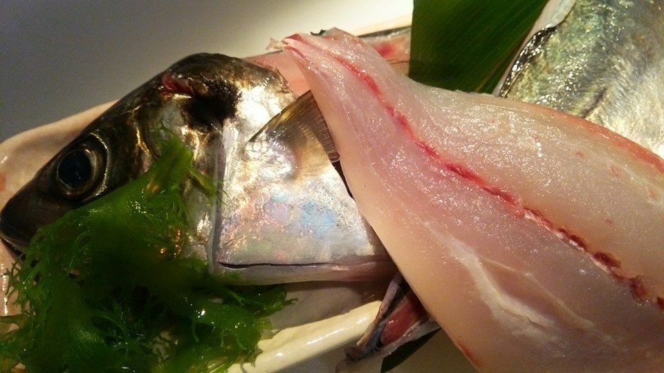 鮨と肴 おどる魚 - ★大分県から関アジが入荷です。 脂がのって、身の締まった関アジの刺身はいかがでしょうか？ 本日もご来店お待ちしております ...