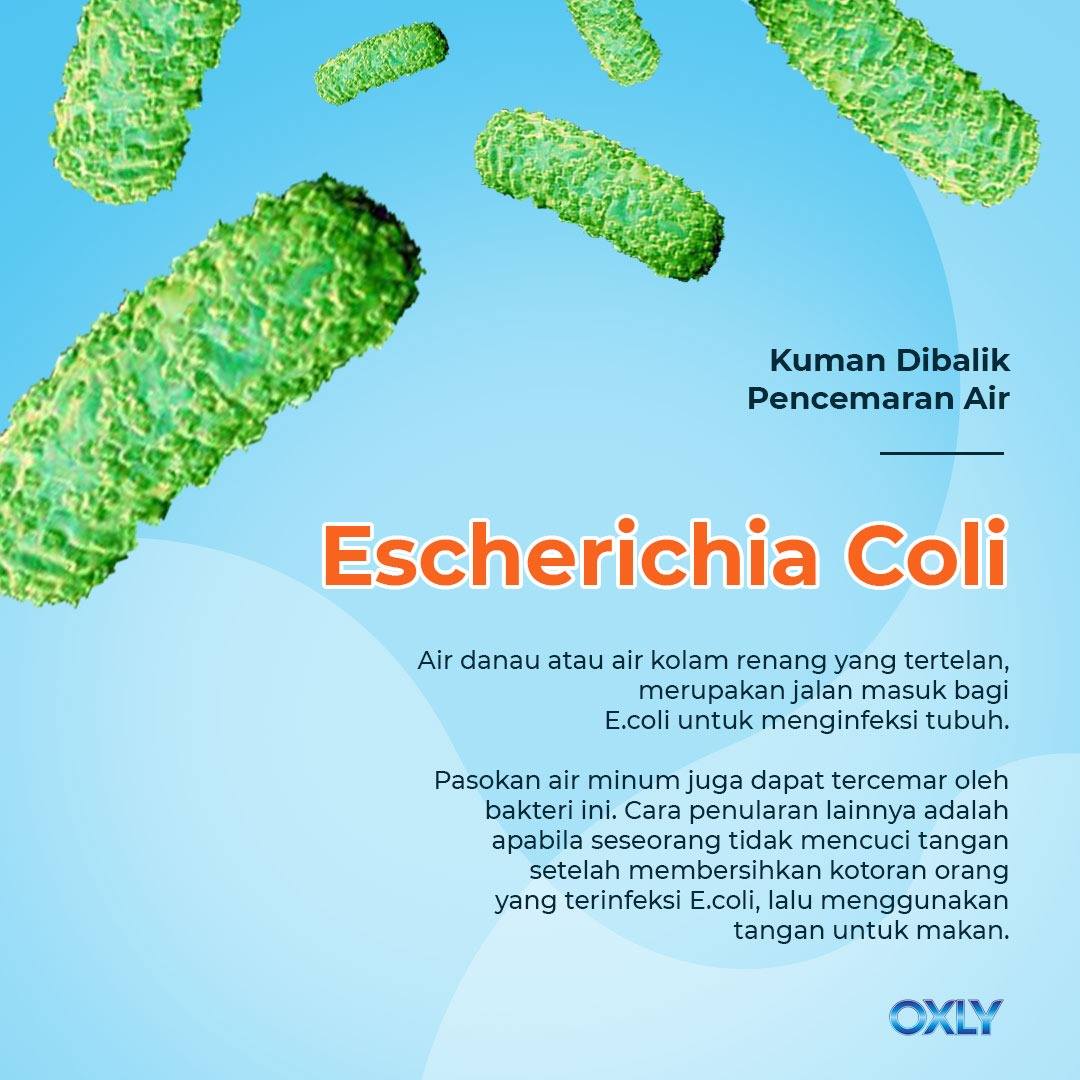 Air Minum Oxly - Air menjadi sumber kehidupan manusia di... | Facebook