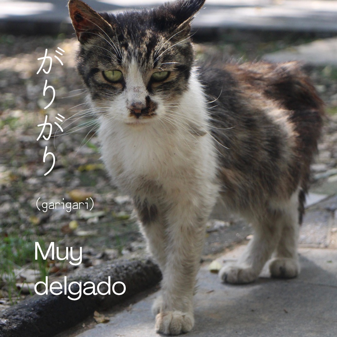 Cursos - 🎌 ¡El japonés tiene sonidos que son TODO un dibujo! ¿Conoces ...
