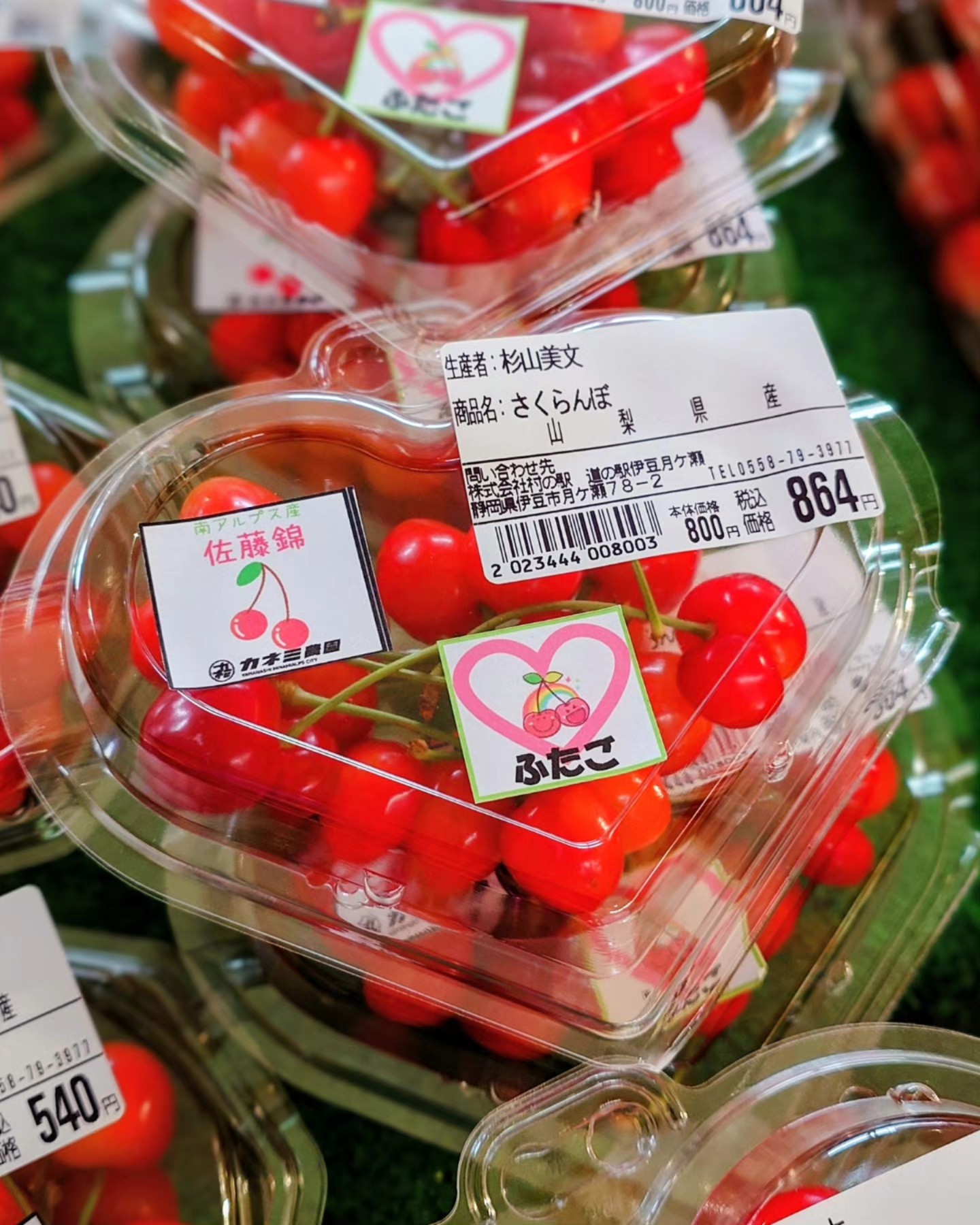 さくらんぼ入荷しました🍒】 カネミ農園さんのさくらんぼ 「佐藤錦」が