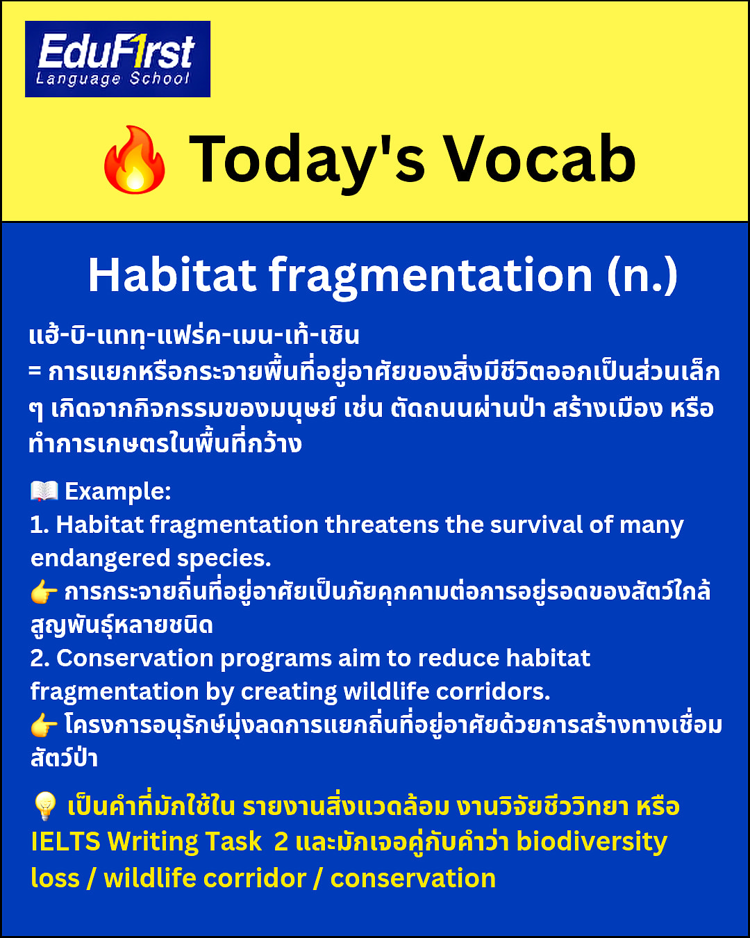EduFirst - 🌿 Today’s Vocab – Habitat Fragmentation คำศัพท์ขั้นสูงที่ ...