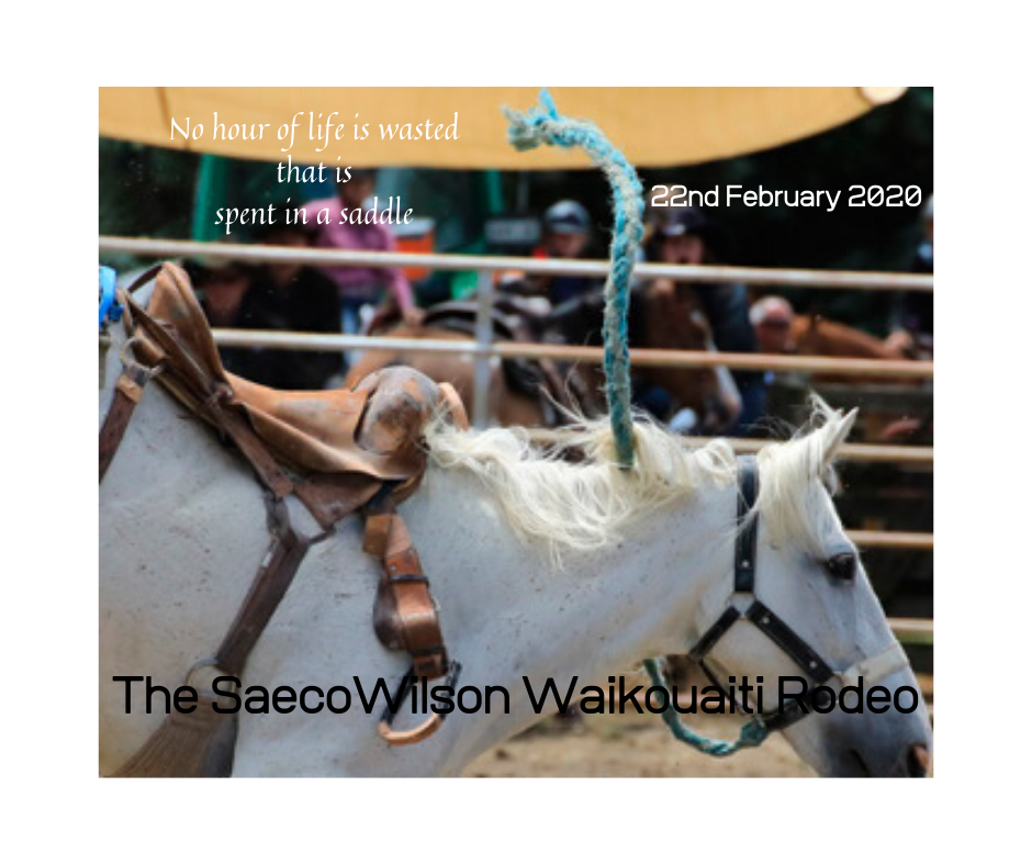 The broncs bring flair to the arena... - Waikouaiti Rodeo | Facebook