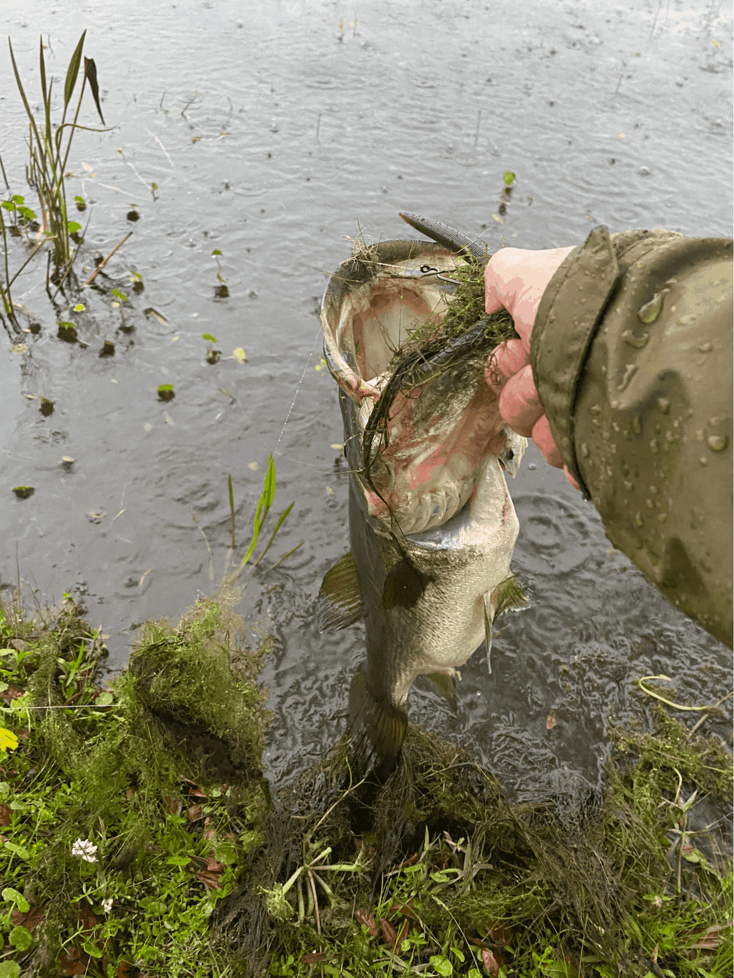 baitcasting reel that built like spinning reel Lew's Custom Pro Baitcast - Right abu garcia cat reel Model:KVD1XHL 1 Gear Ratio abu garcia c3-6500 tspc
