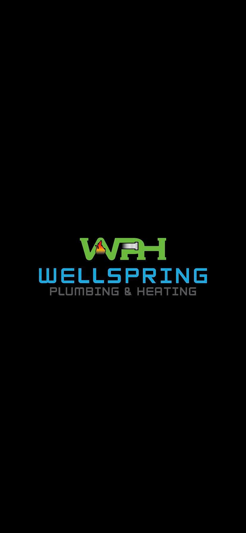Wellspring plumbing & heating L.L.C | Frankford DE