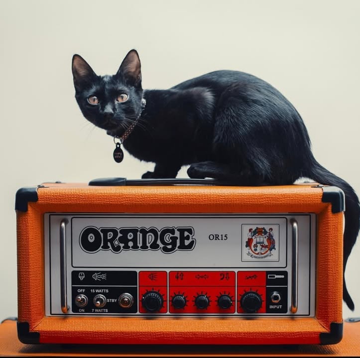 バイオリン GALLAGHER Anno1994 Orange - Here's a blast from the past; Oasis' Noel Gallagher's