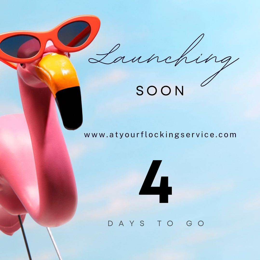 At Your Flocking Service