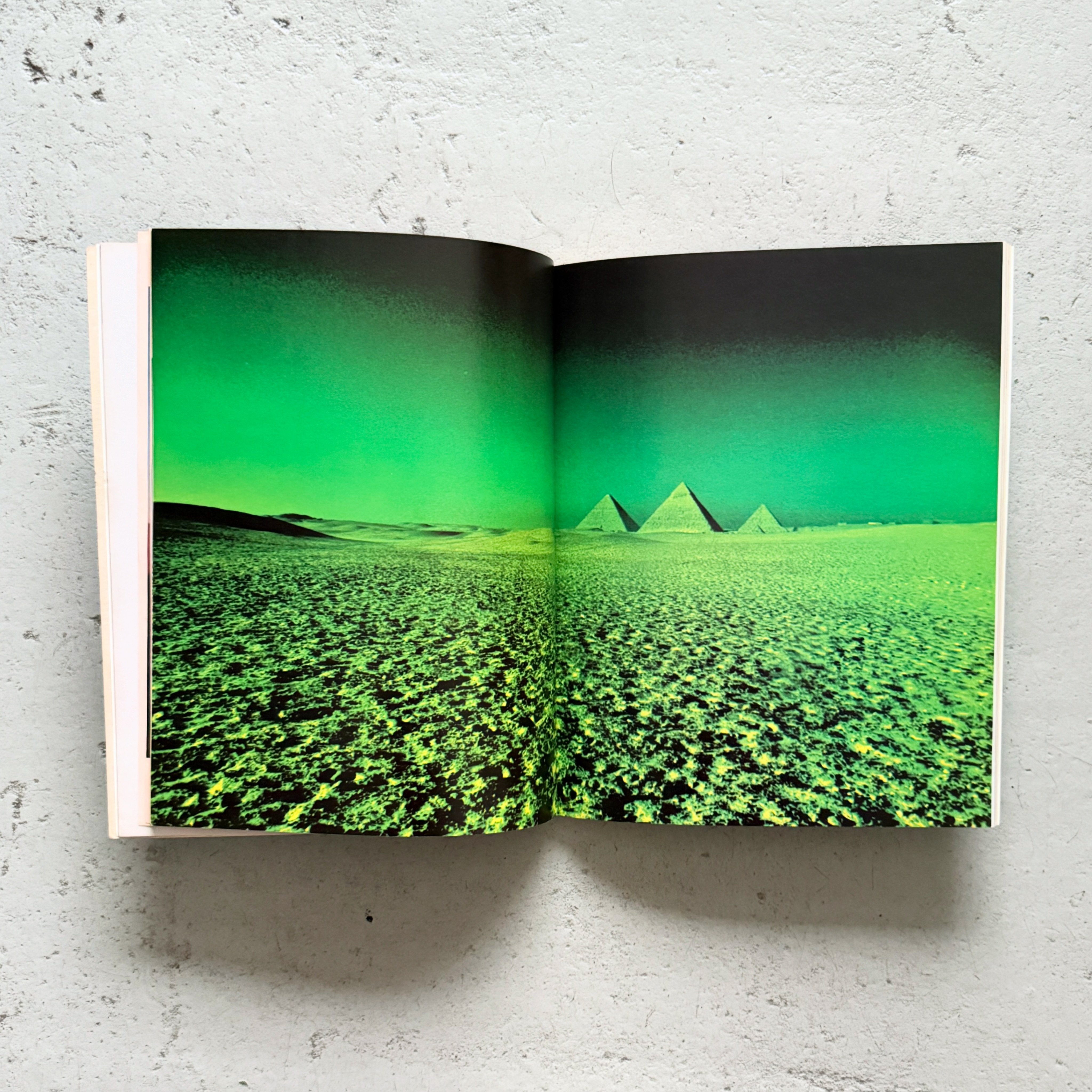 The Work of Hipgnosis 'Walk Away Rene' ピンクフロイドやレッド