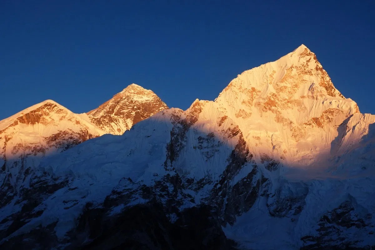 5 Surprising Facts You Never Knew Were True