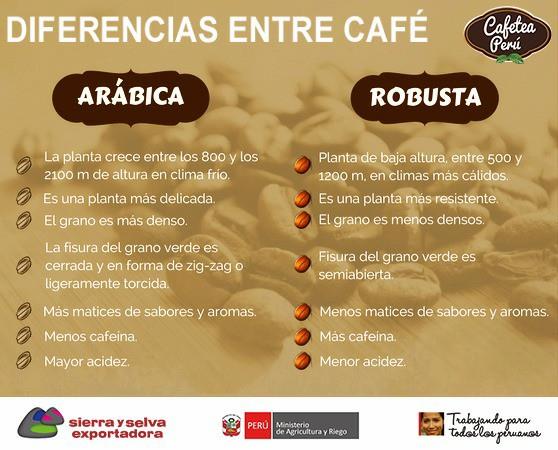 Agromercado - [CONSUME CAFÉ PERUANO]☕ Diferencias entre las dos grandes ...