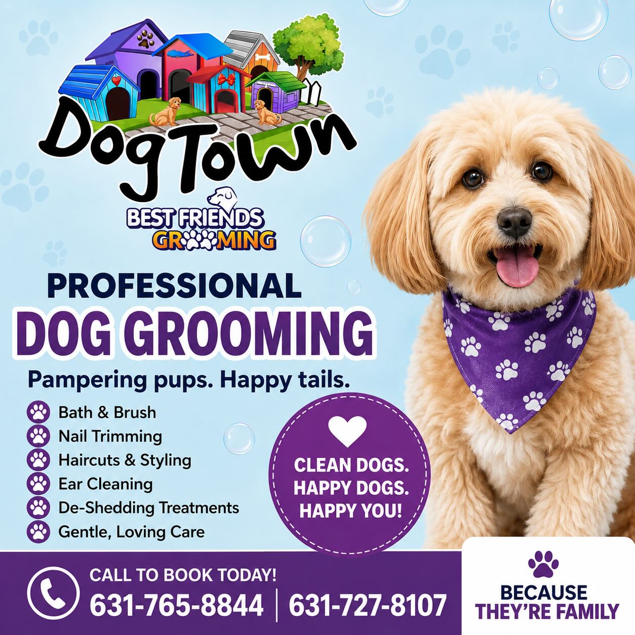 Dog Town NY | Southold NY