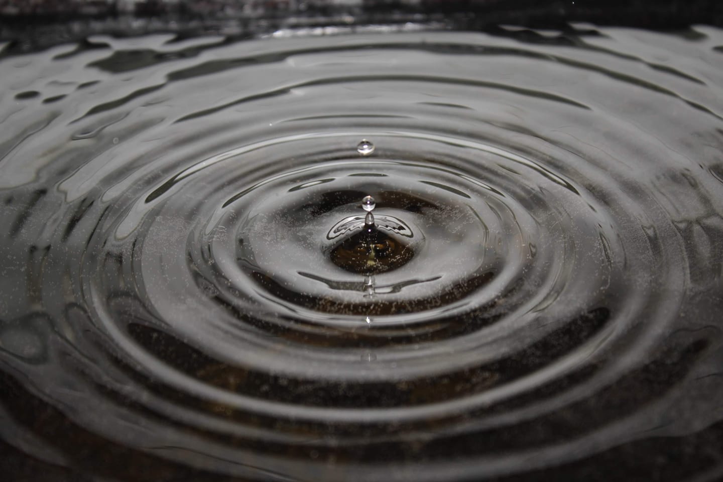 Jessica Rondeau photographe