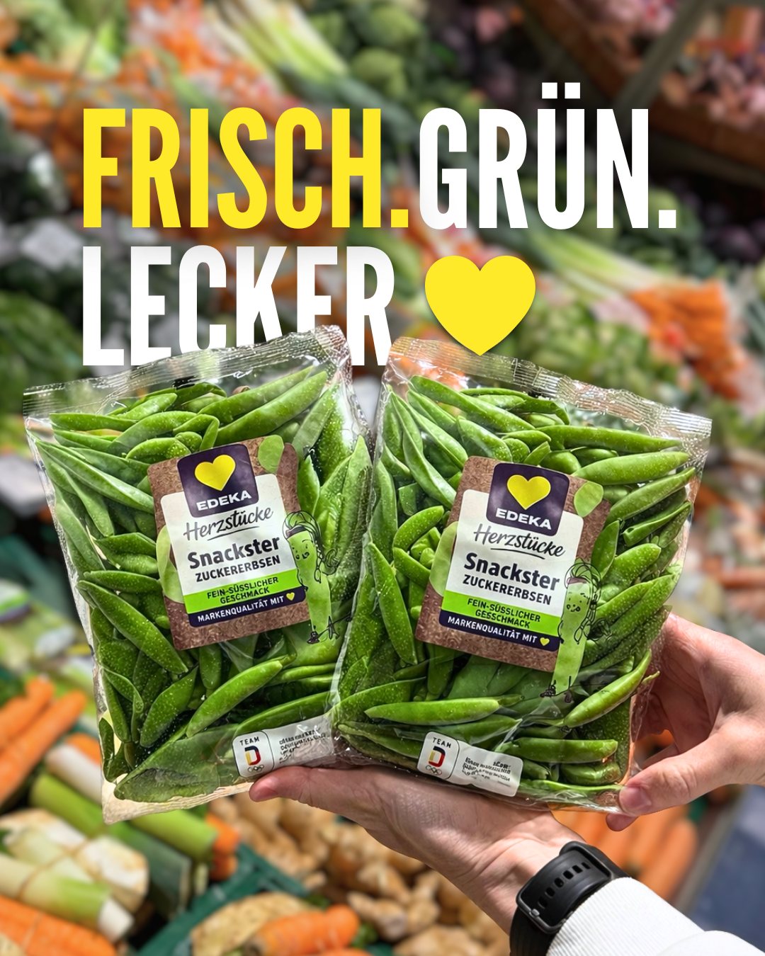 hängematte zwillinge Federwiege für – Umbausatz Abmessungen:350mm Bikepacking-Taschen für einen XS-Rahmen quickrelease
