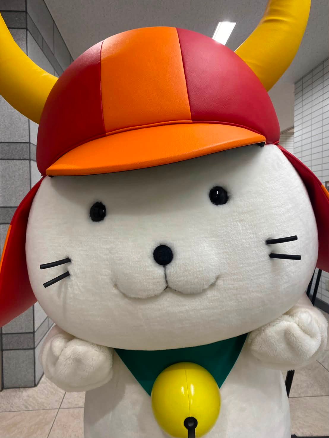 ひこにゃん - 今日の「ひこにゃん」 愛らしいおナカで、見事な剣捌きを