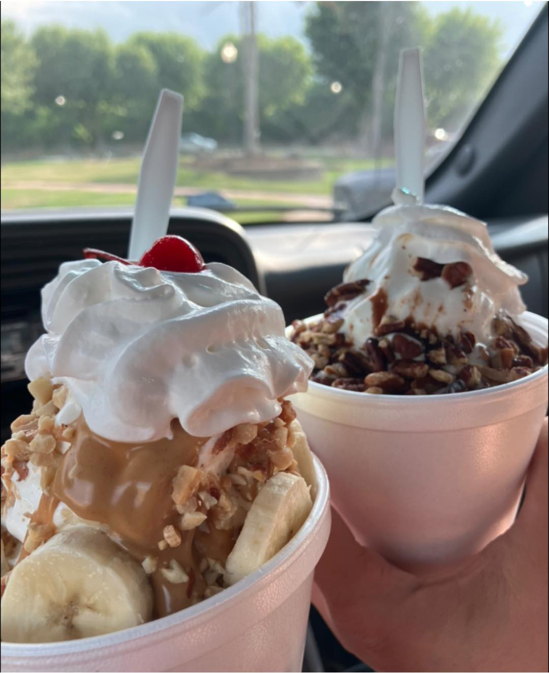 Valda June's Really Nice Ice Cream, 613 N. Perry St., Napoleon, OH.
