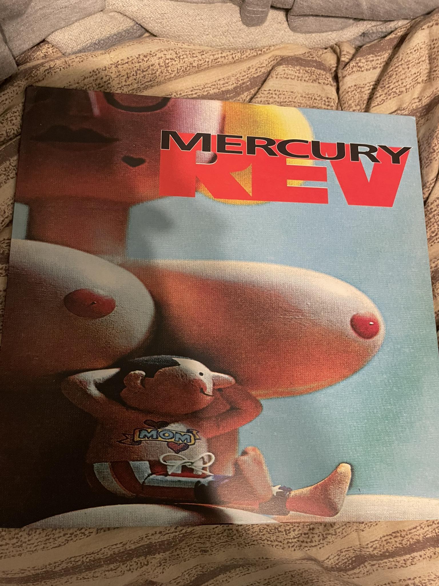 What do you think of Mercury Rev