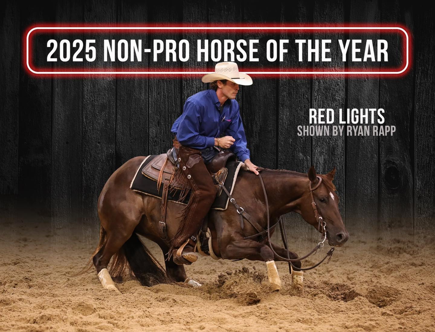 The 2025 Non-Pro Horse Of The... - Performance Horse Central | Facebook