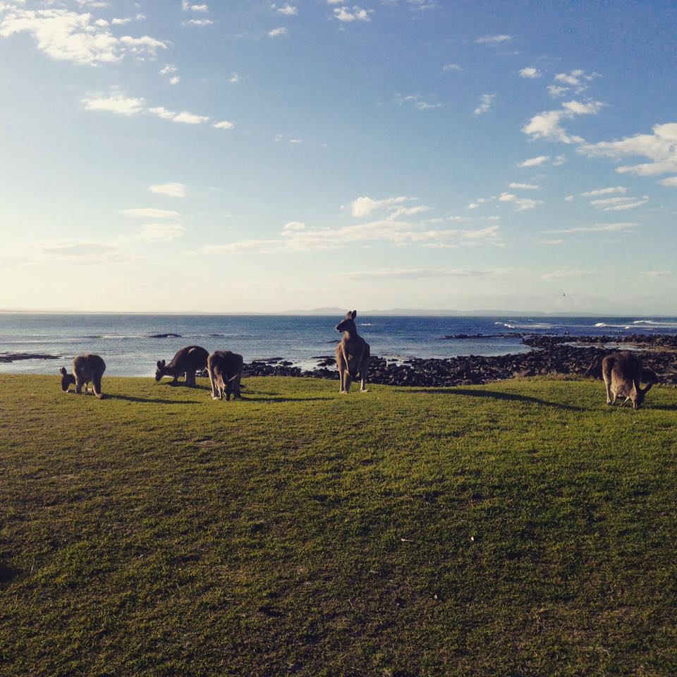 Craig & Rhi's Gap Year - Home