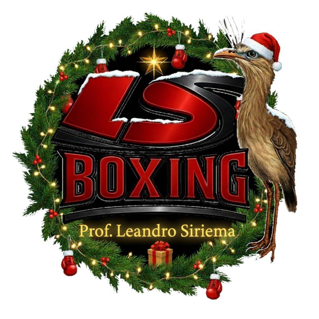 LS Boxing | Araraquara SP