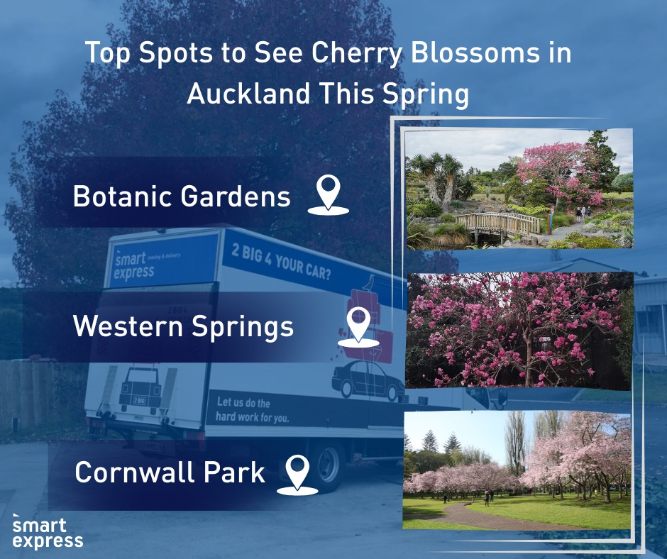 🌸 Spring in Auckland is... - Smart Express Moving & Delivery | Facebook