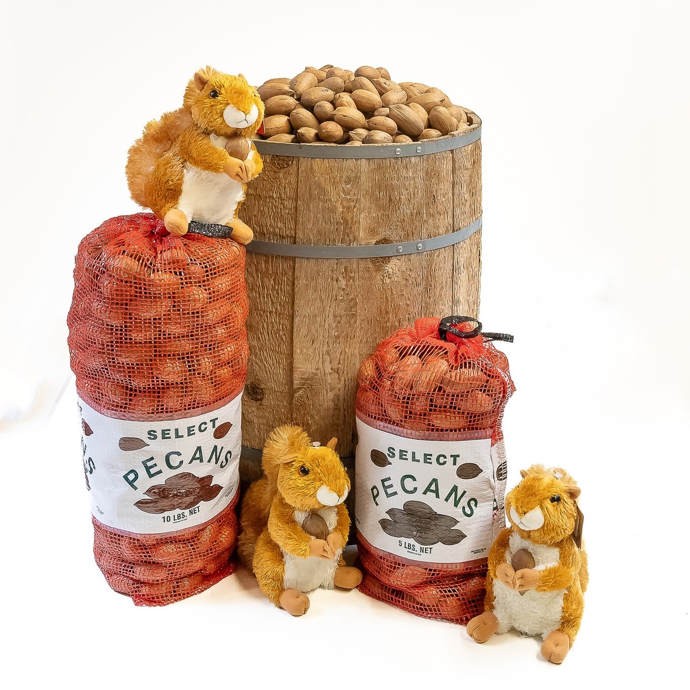 choco モールベア Berdoll Pecan Candy & - Berdoll Pecan Candy & Gift Co.