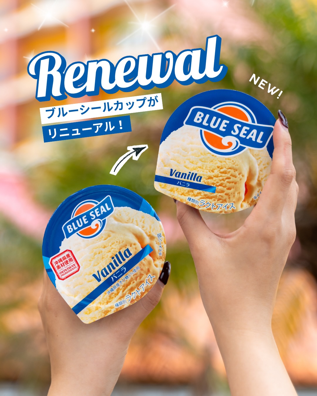 BLUE SEAL ICE CREAM | Ginowan-shi Okinawa