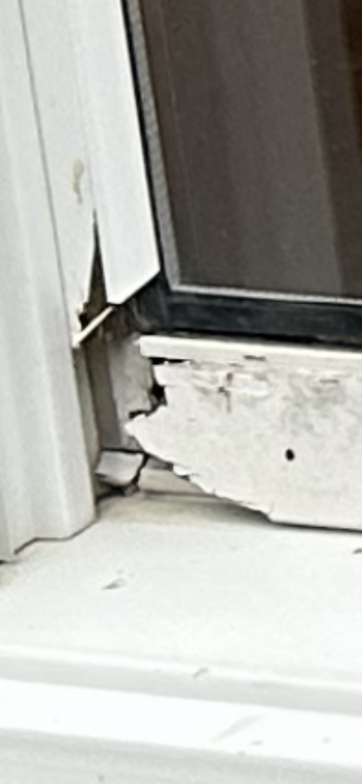 Historic Window Rescue | Lakeland FL