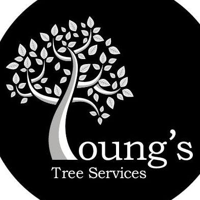 Young's Tree Services | Oxford
