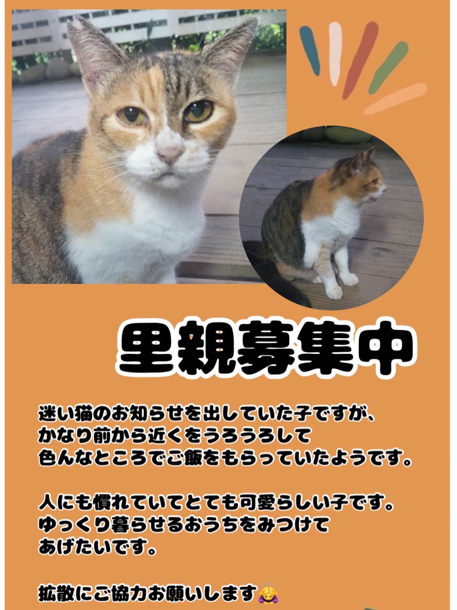 ねこすけさん専用 他社様　購入禁止です。 Facebook