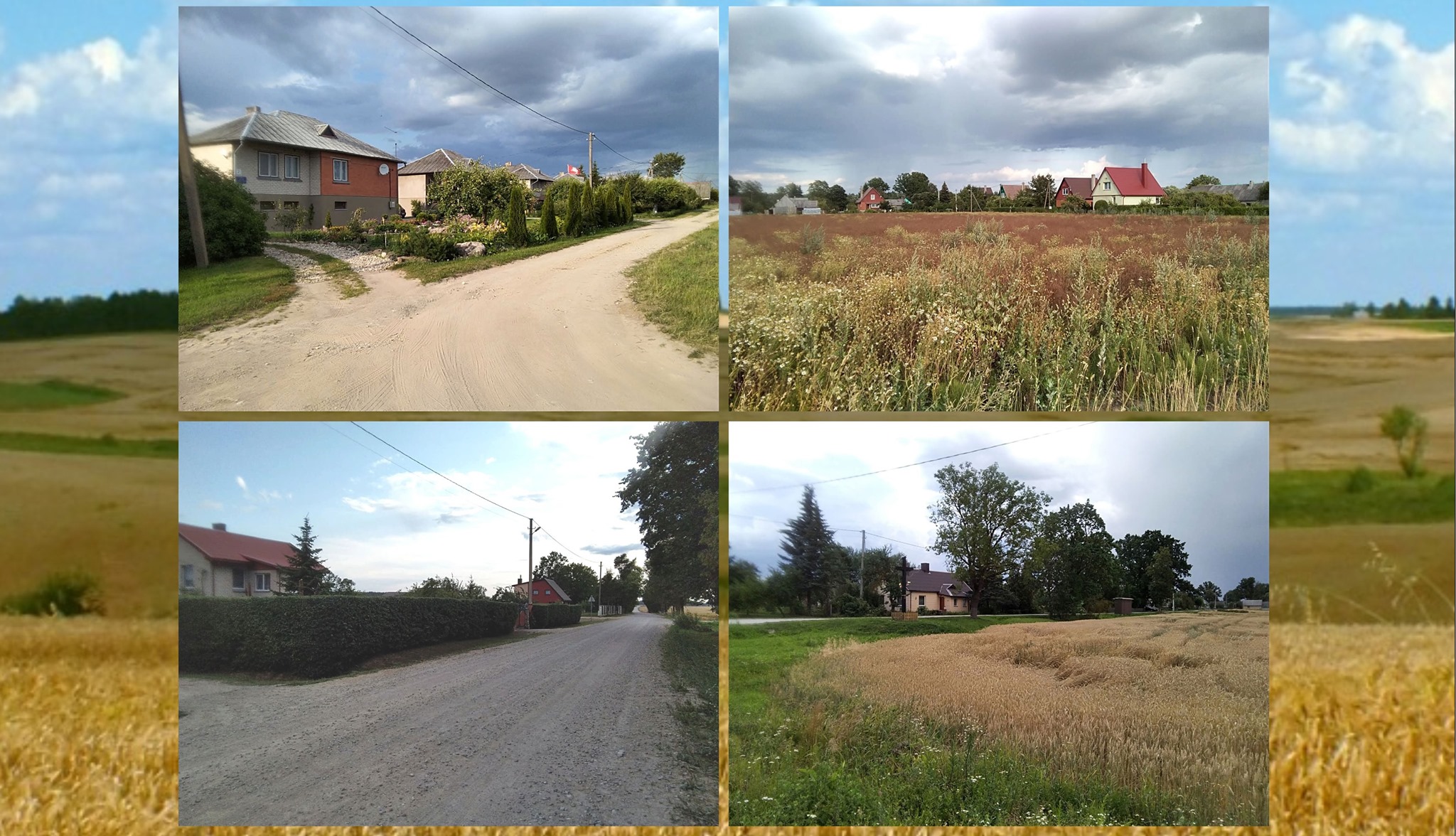 Miežaičių kaimo bendruomenė