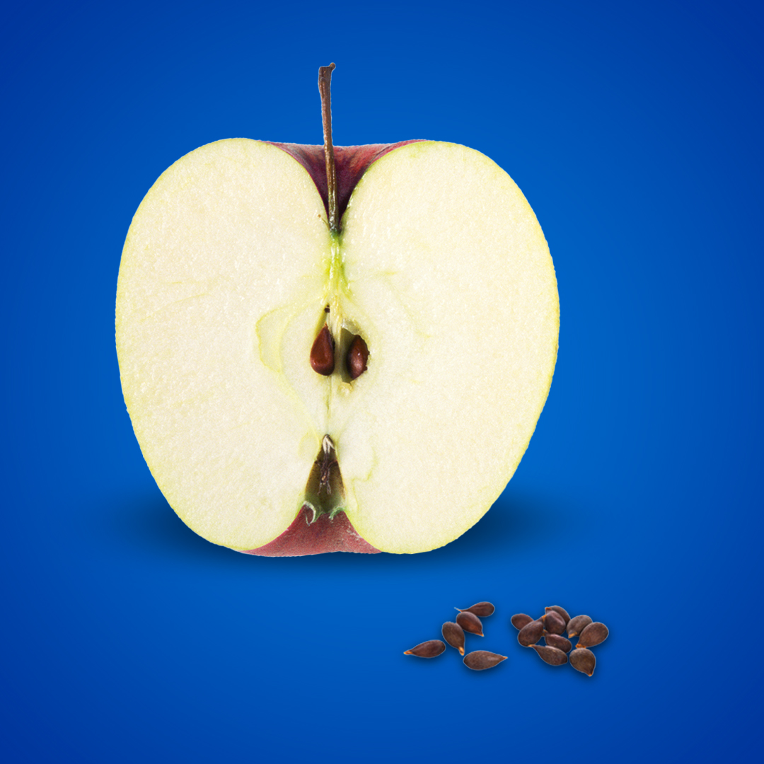 Combien De Pepin De Pomme Pour Mourir