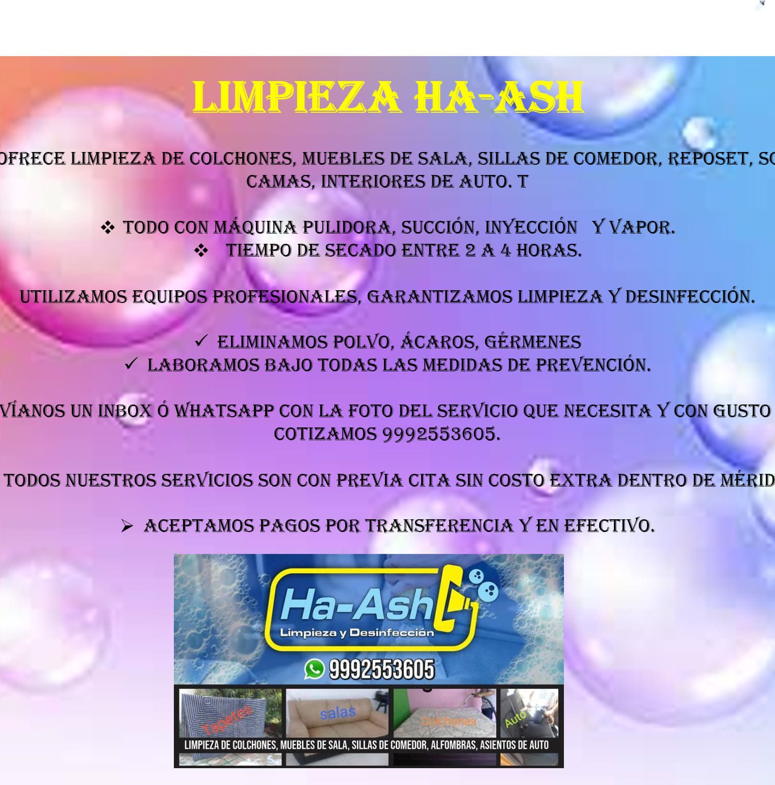 Limpieza Ha-Ash | Mérida