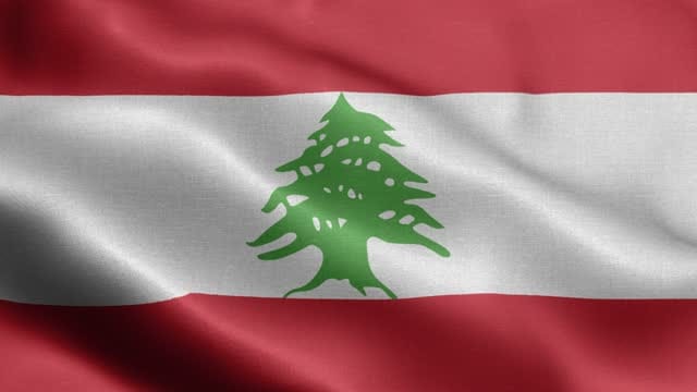 تمت عملية الدمج بين الكرد والدو١١ش بنجاح ... #هربجي 🚀🚀 | سوريافوره