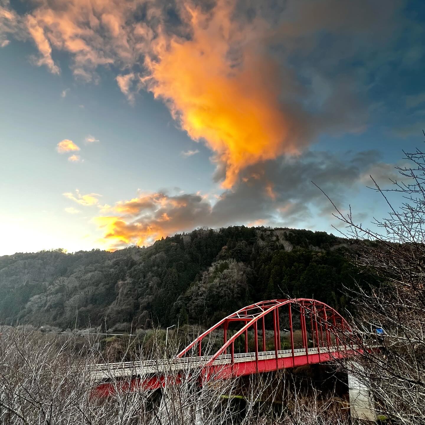 2025年12月22日.月ヶ瀬ぶらり散歩 渓谷の朝の風景⛅️ 早朝は曇ってい