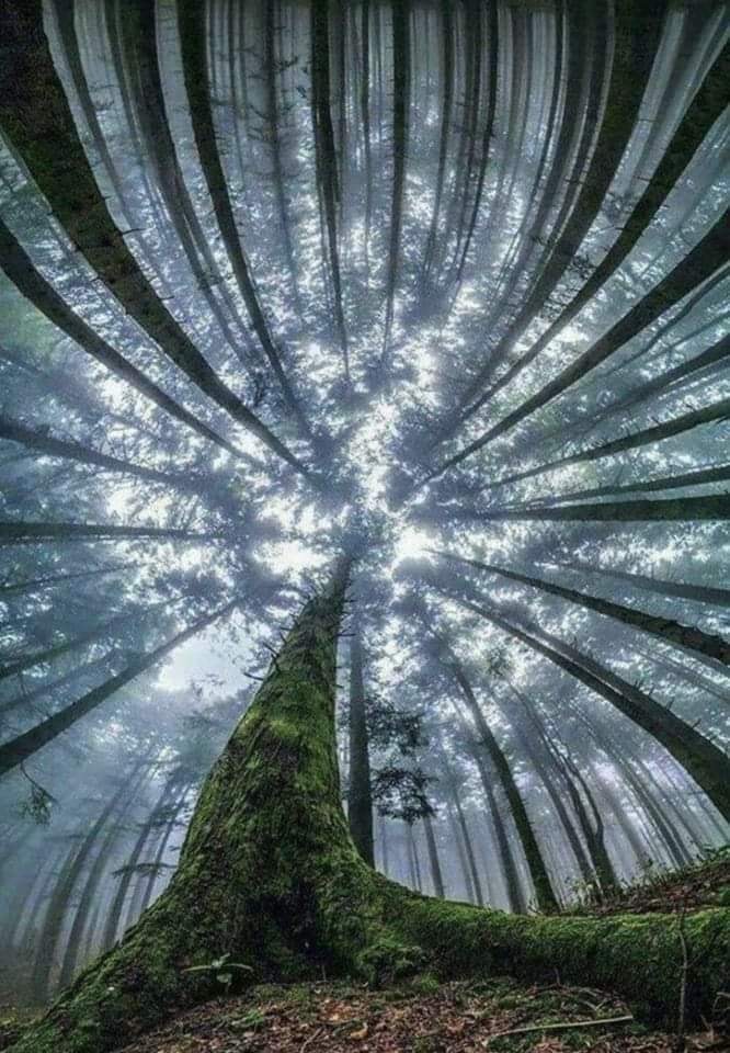 real pics Mediacoxphp amazing