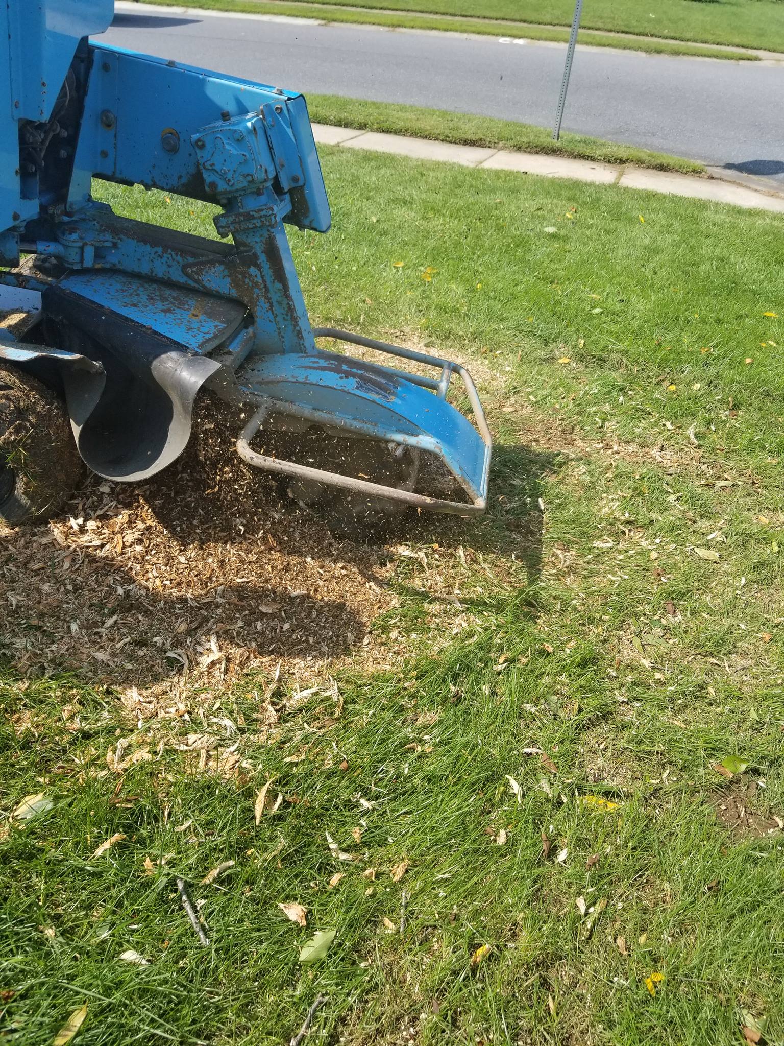 Magic stump grinder and tree service | Newark DE