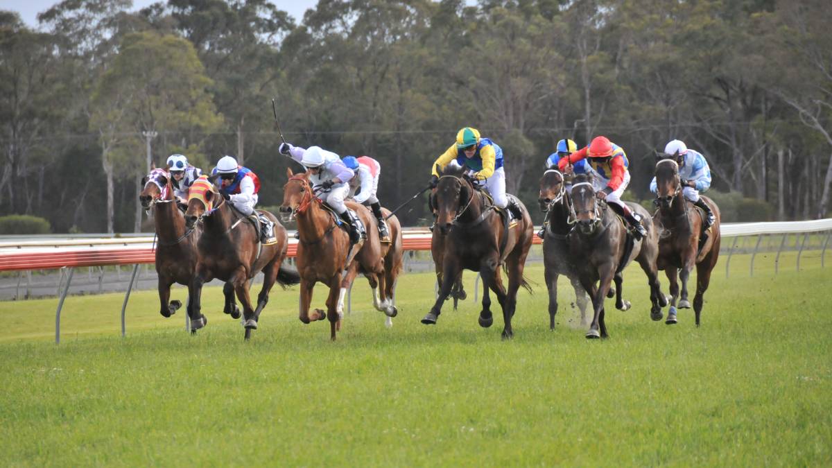 Manning Valley Race Club | Taree NSW