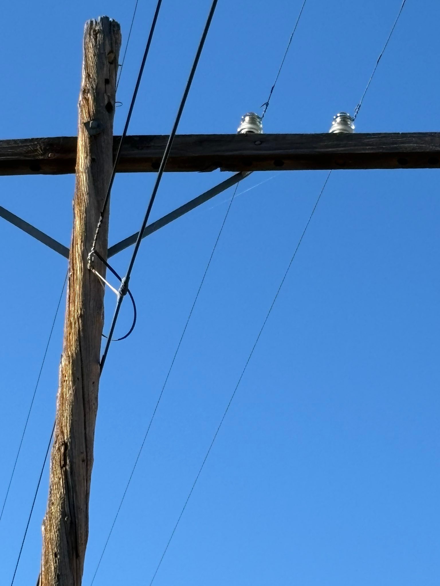 Insulators - National Insulator Association | My wife and I went for a ...