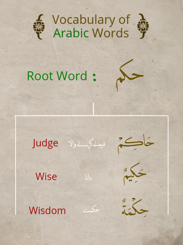 Root Word : حكم ============... - Learn Arabic - Learn Quran