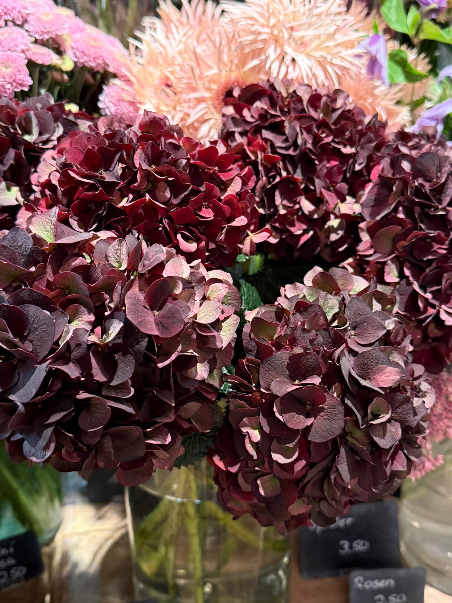 Herbstliche Schönheiten auf unseren Blumentafel 🍂🍁🍃 Lust auf Blumen für dein Zuhause? Möchtest du jemanden eine blumige Freunde bereiten? Wir sind für euch da Mo Di Do Fr 9-12.30 & 14-18 Uhr