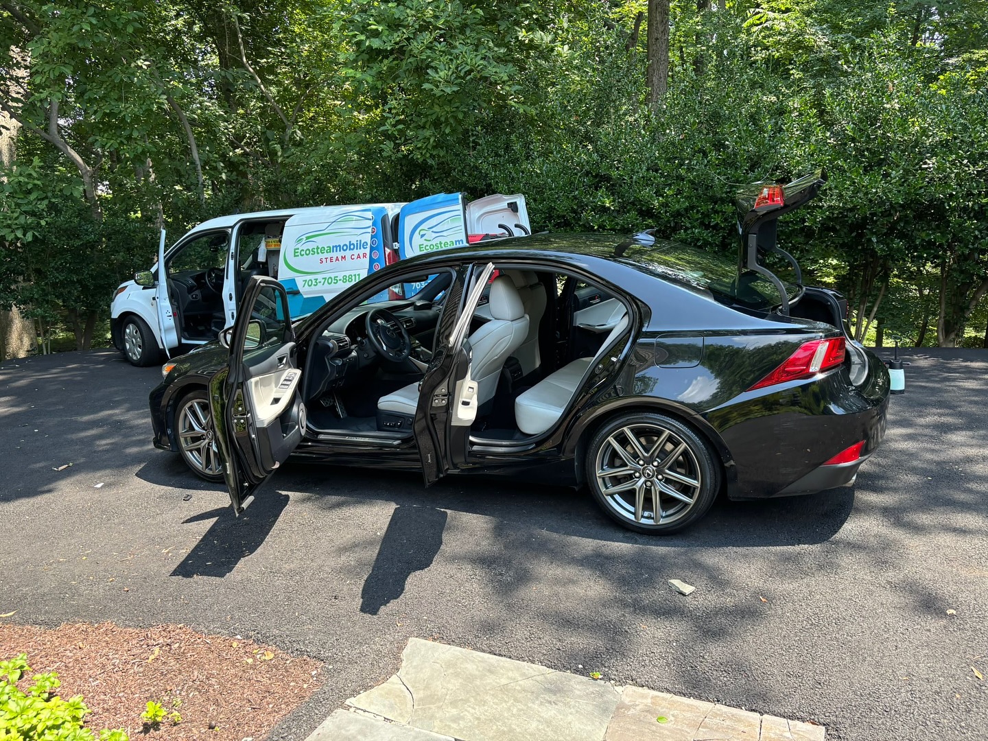 Ecosteamobile Mobile Steam Car Detailing DMV: Ultimate Shine