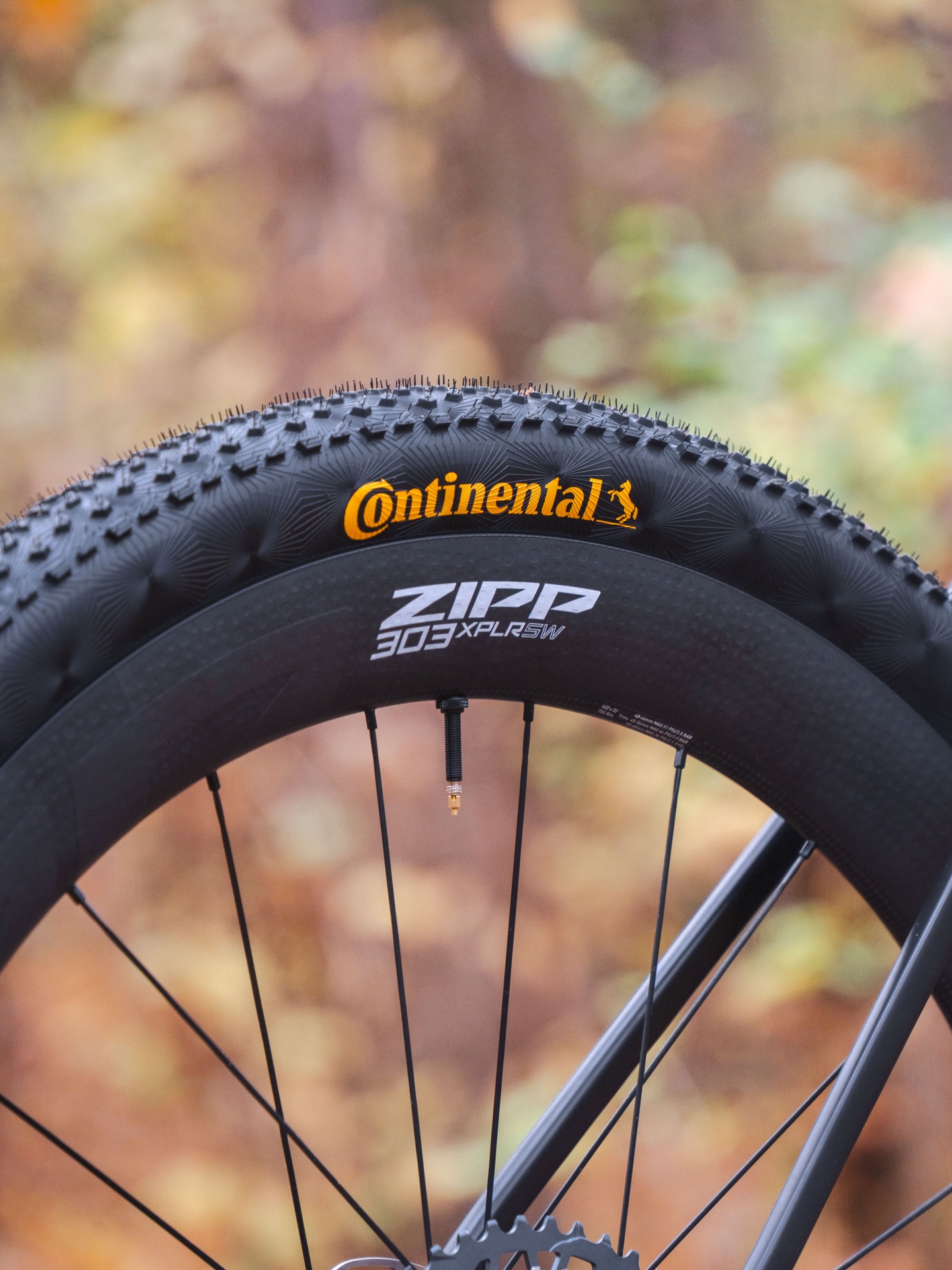 Zipp 303 Firecrest with Conti GP5000s installed