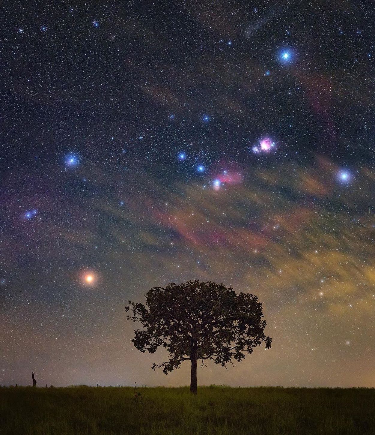 APOD: Orion Rising over Brazil (2019 Sep 30) Image Credit
