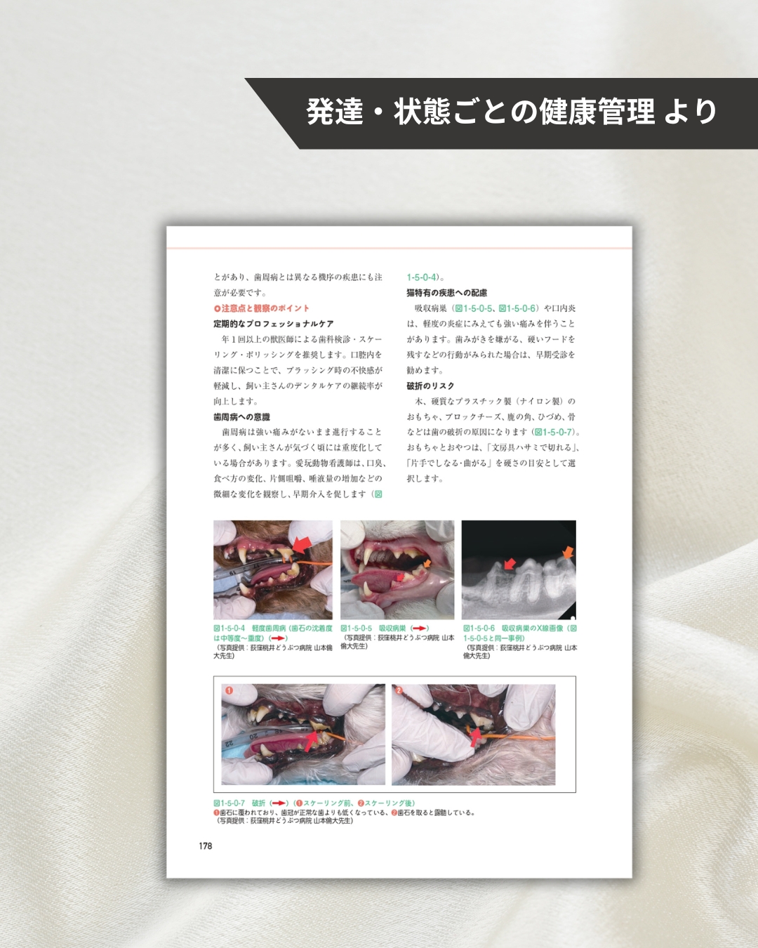 ⋱ 愛玩動物看護師のための実践書 ⋰ 【 VNCA 標準動物看護 シリーズ